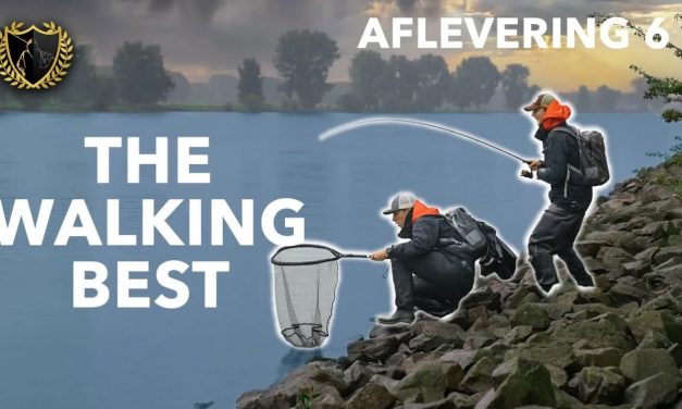 ***VIDEO*** DEZE DROOMVANGST VERWACHTTE NIEMAND – Finale The Walking Best
