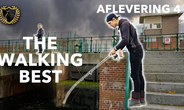 ***VIDEO*** HEB JIJ OOIT ZOVEEL GROTE BAARS GEZIEN?!  – Aflevering 4 THE WALKING BEST