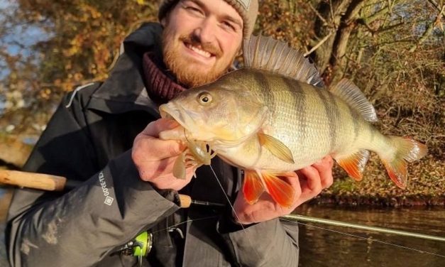 Deze creature baits vangen de allergrootste baarzen