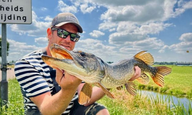 Vijf tips voor het kantvissen op snoek