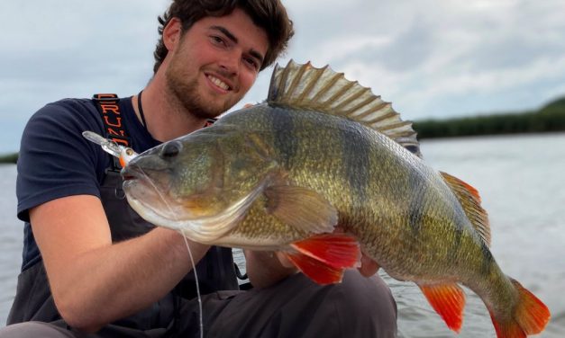 Vijf crankbaits voor verschillende omstandigheden