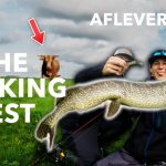 ***VIDEO*** WORDT TOON AANGEVALLEN DOOR EEN BOZE STIER?! – Aflevering 3 THE WALKING BEST