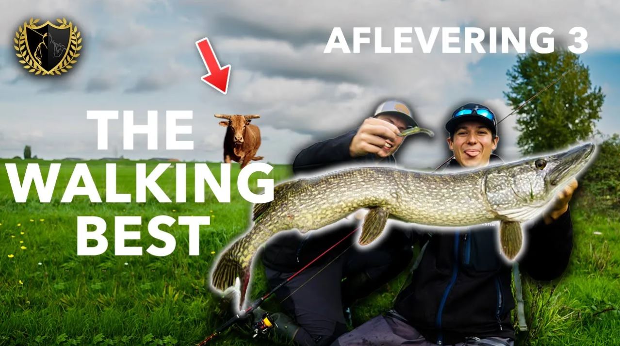 ***VIDEO*** WORDT TOON AANGEVALLEN DOOR EEN BOZE STIER?! – Aflevering 3 THE WALKING BEST
