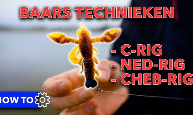 ***VIDEO*** DE 3 BESTE TECHNIEKEN VOOR GROTE BAARS!