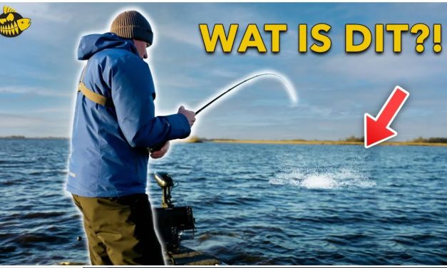 ***VIDEO*** Hebben wij een DROOMSTEK voor GROTE snoekbaars gevonden?!