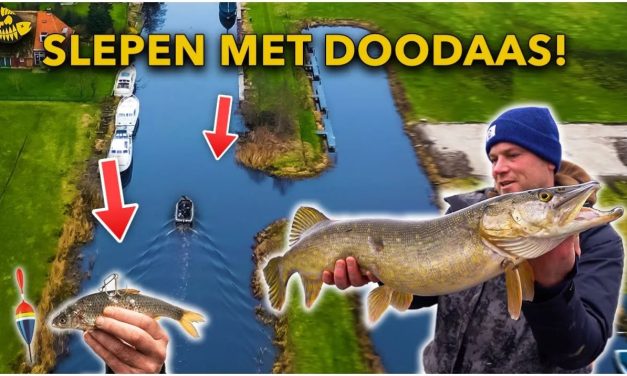 ***VIDEO*** DOODAAS VISSEN! – Vang meer met deze TIPS & TRICKS
