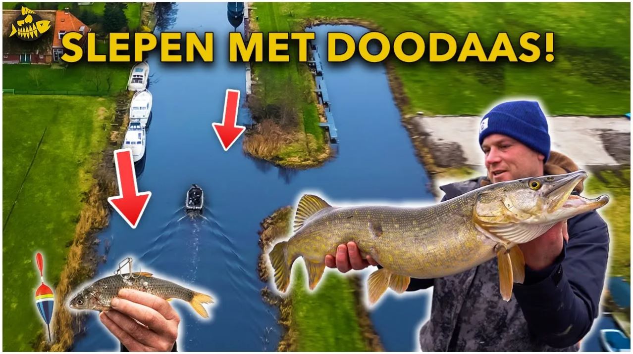 ***VIDEO*** DOODAAS VISSEN! – Vang meer met deze TIPS & TRICKS