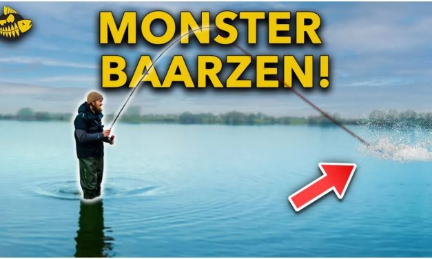 ***VIDEO*** VANG JOUW PR BAARS MET DEZE TIPS!