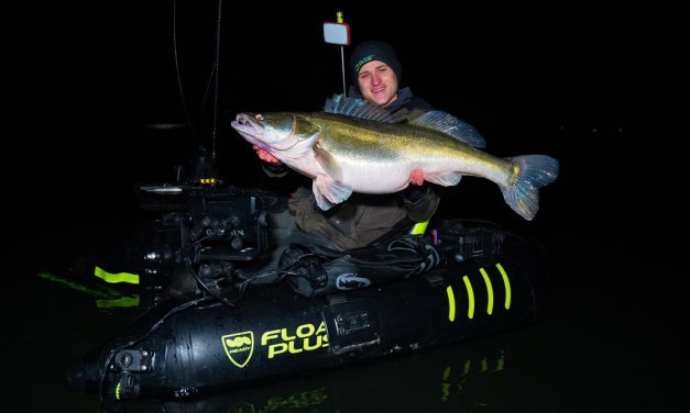 Pelagisch snoekbaarzen uit de bellyboat – Thijs van den Acker