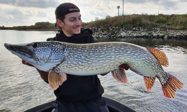 Dé blauwdruk voor het vangen van grote RIVIER snoek – Een interview
