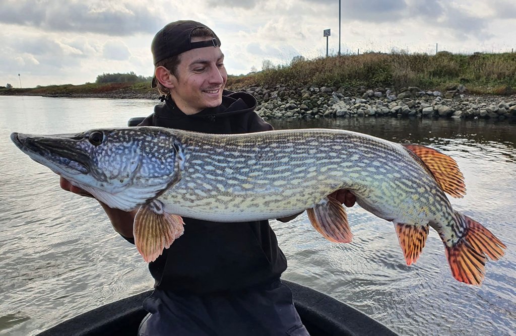 Dé blauwdruk voor het vangen van grote RIVIER snoek – Een interview