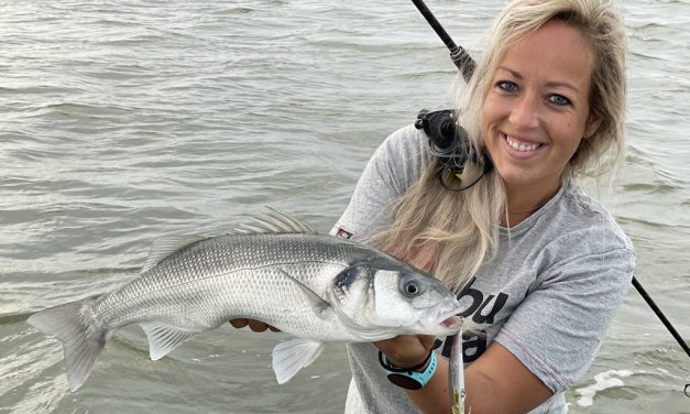 Kunstaas estafette – Top 3 kunstaas voor zeebaars van Sophie Neitzel