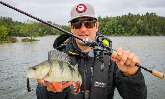 Waar moet je op letten bij de aanschaf van een crankbait hengel?