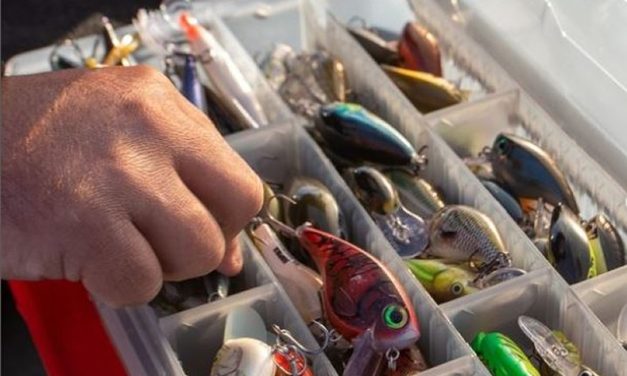 Vijf top crankbaits van Rapala