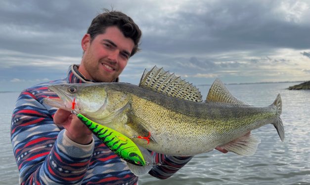 Vier succesvolle technieken voor de ondiepe visserij op snoekbaars