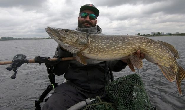 Kunstaas estafette – Top 3 kunstaas voor snoek van Sjoerd van Schie