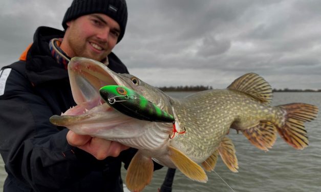 Kunstaas estafette – Top 3 kunstaas voor snoek van Luc de Groot