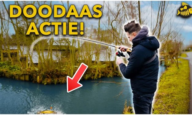 ***VIDEO*** Op deze manier vist niemand met dood aas