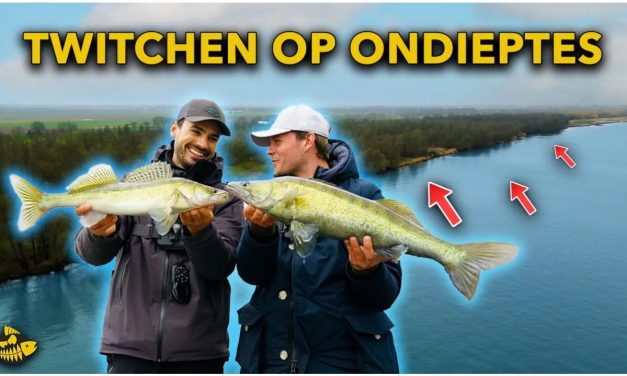 ***VIDEO*** AGGRESSIEVE SNOEKBAARZEN PAKKEN DIT KUNSTAAS 2 KEER!