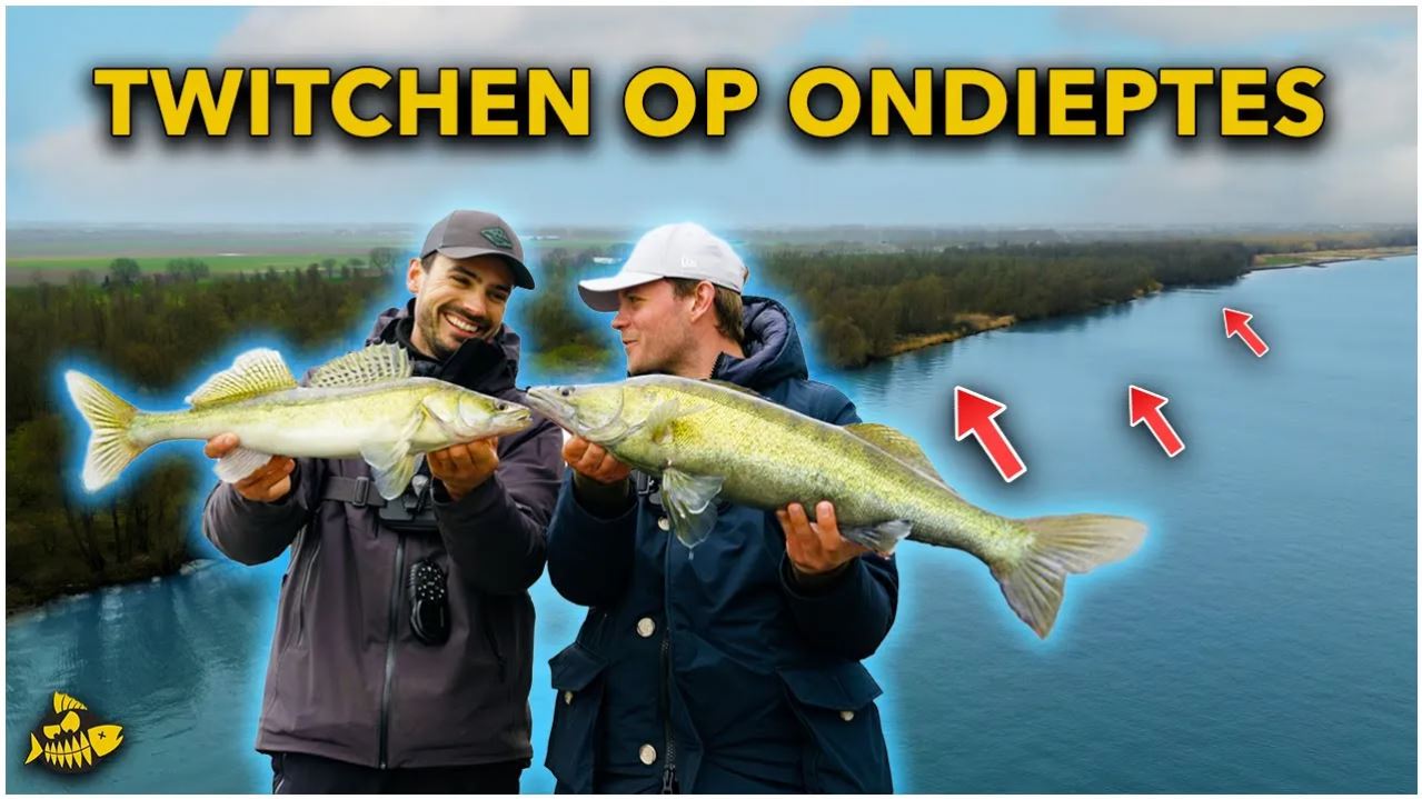 ***VIDEO*** AGGRESSIEVE SNOEKBAARZEN PAKKEN DIT KUNSTAAS 2 KEER!