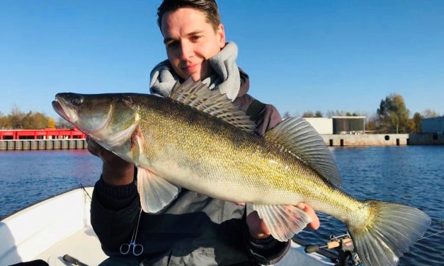 Kunstaas estafette – Top 3 kunstaas voor snoekbaars van Joost Spraakman