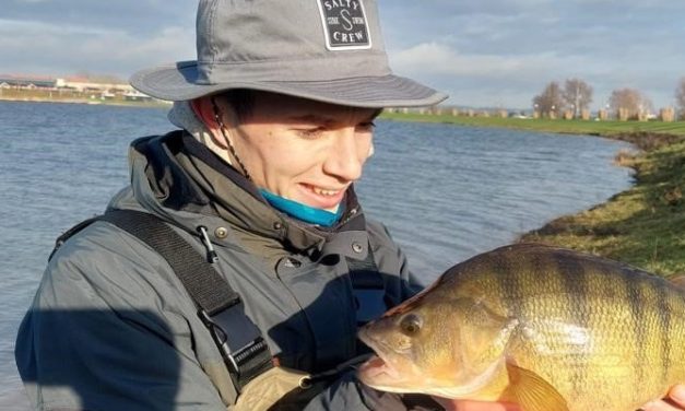 Kunstaas estafette – Top 3 kunstaas voor baars van Daan Pit