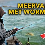 ***VIDEO*** MEERVAL MET WORMEN: Zo Doe Je Dat!