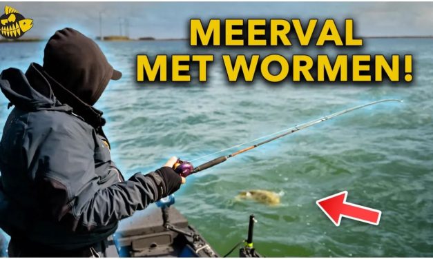 ***VIDEO*** MEERVAL MET WORMEN: Zo Doe Je Dat!
