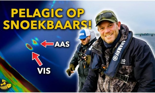 ***VIDEO*** Dit is dè manier om grote snoek en snoekbaars te vangen!