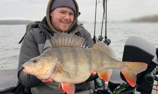 Kunstaas estafette – Top 3 kunstaas voor baars van Robert-Jan Mastenbroek