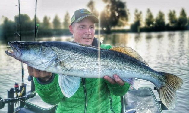 Kunstaas estafette – Top 3 kunstaas voor snoekbaars van Robin Smit
