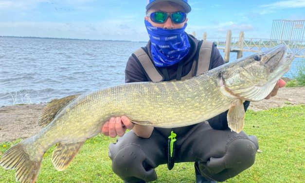 Doe mee met de leukste roofvis wedstrijd van Nederland – De Yamaha Pro Fishing Cup 2023