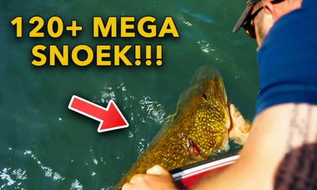 ***VIDEO*** MEGA 120+ SNOEK IS ABSOLUTE DROOMSTART!