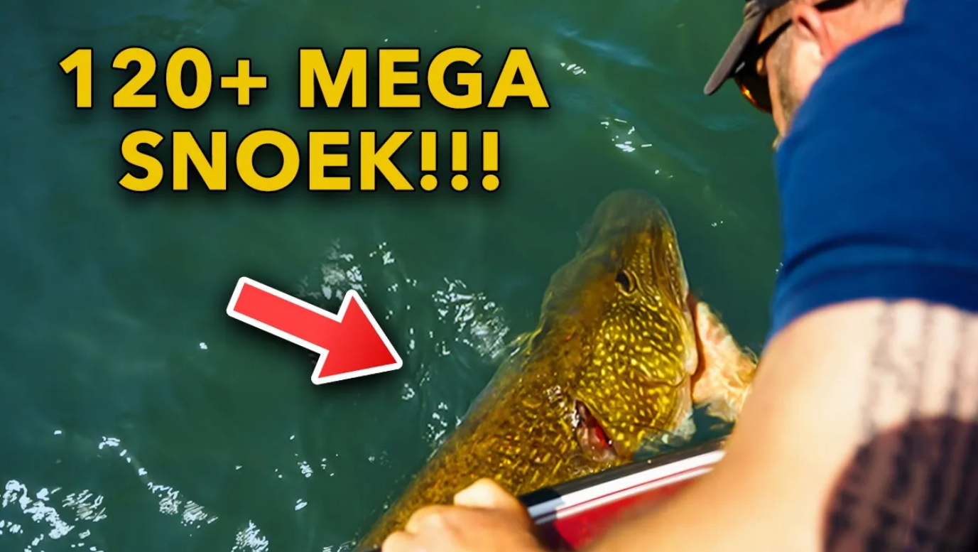 ***VIDEO*** MEGA 120+ SNOEK IS ABSOLUTE DROOMSTART!