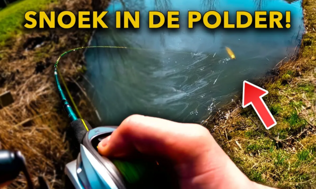 ***VIDEO*** MET DEZE TIPS VANG JIJ MEER SNOEK VANAF DE KANT