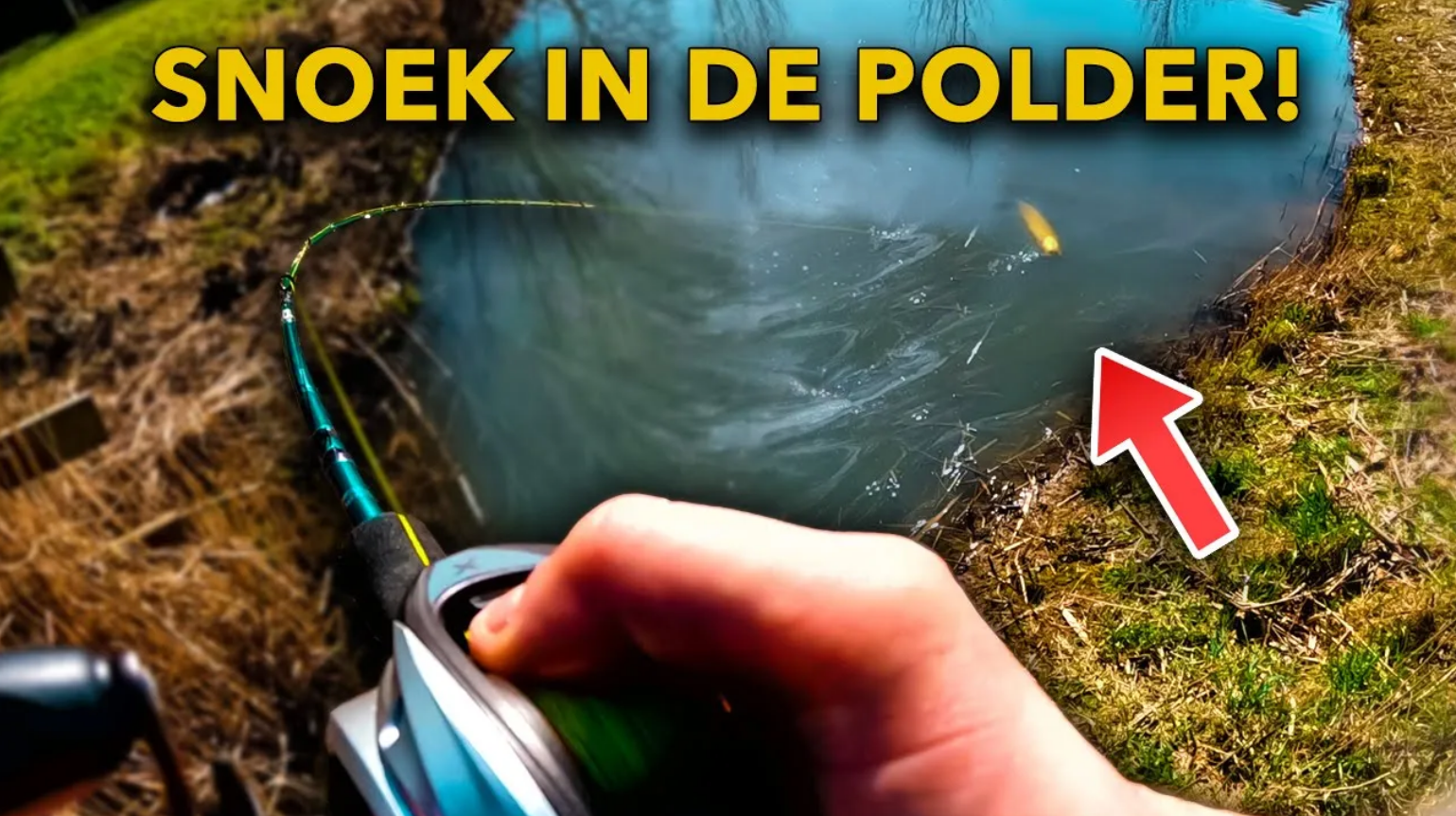 ***VIDEO*** MET DEZE TIPS VANG JIJ MEER SNOEK VANAF DE KANT