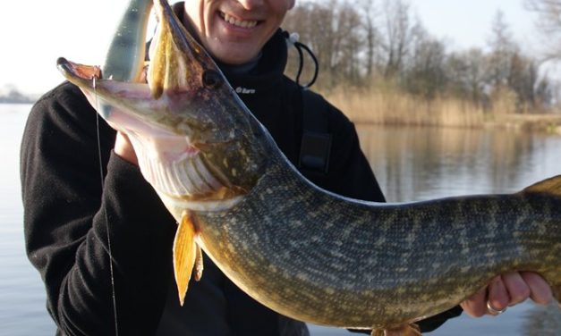 Kunstaas estafette – Top 3 kunstaas voor snoek van Sander Paans