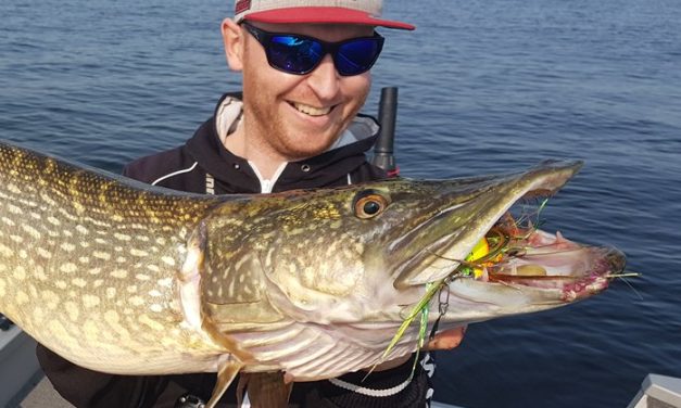 Kunstaas estafette – Top 3 kunstaas voor snoek van Thijs van der Sanden