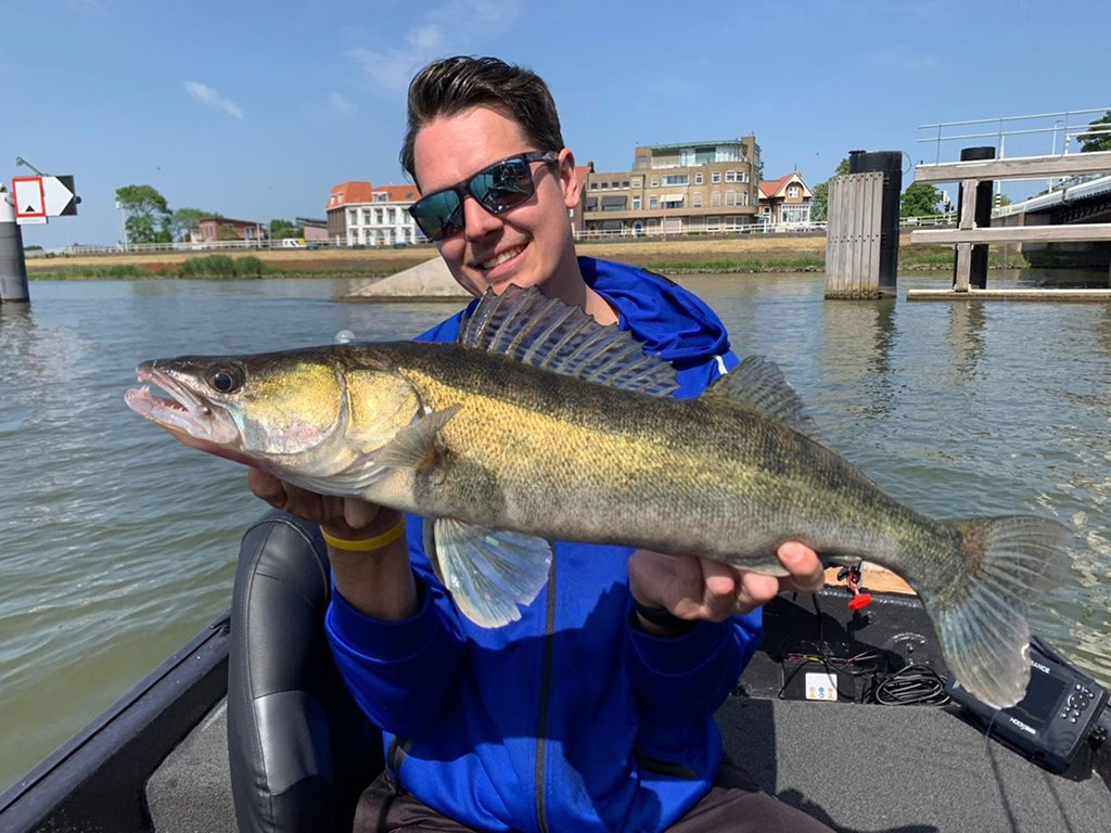 Lees dit en je gaat veel snoekbaars vangen in de maand juni!