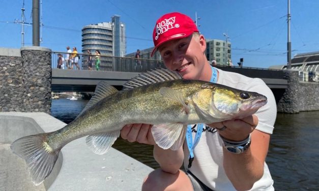 Topstekken in de stad – Zo vang je meer vis tijdens het streetfishen!
