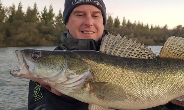 Kunstaas estafette – Top 3 kunstaas voor snoekbaars van Nico Molkens