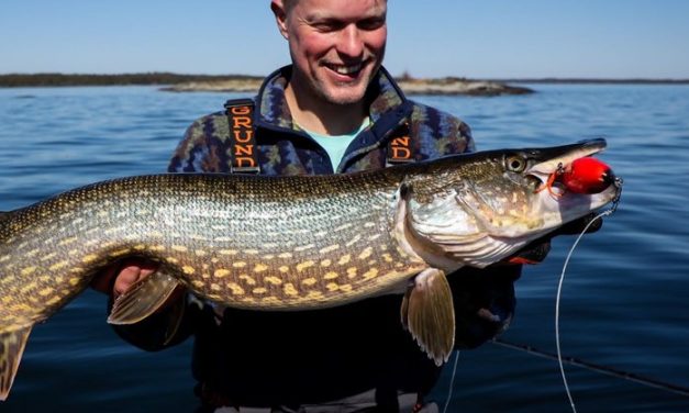 Kunstaas estafette – Top 3 kunstaas voor snoek van Swenn Middeljans