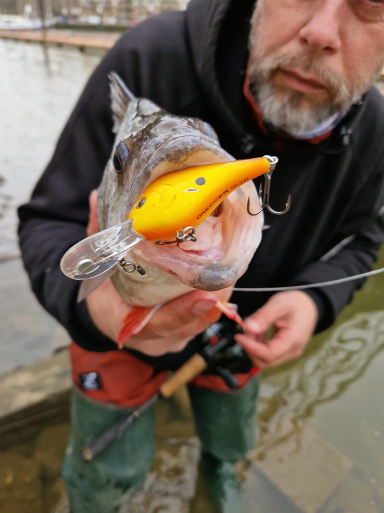 Het crankbait ABC – Grote vissen vangen op klein kunstaas