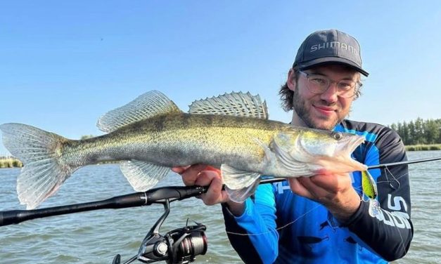 Verder gooien en extra opvallen – Met deze crankbaits kan het gewoon niet misgaan