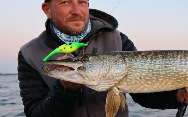 Kunstaas estafette – Top 3 kunstaas voor snoek van Mark Kuiper