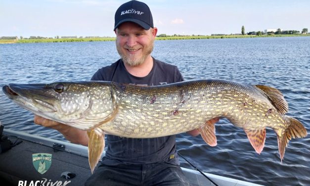 De magische muizen van Miuras Lures