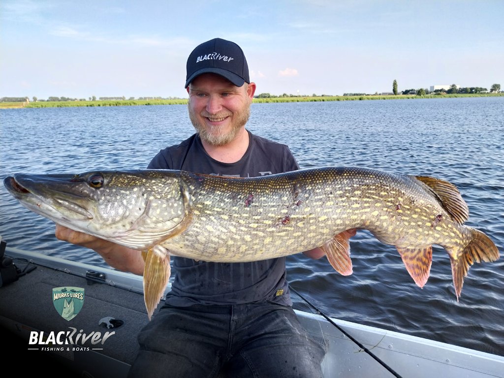 De magische muizen van Miuras Lures