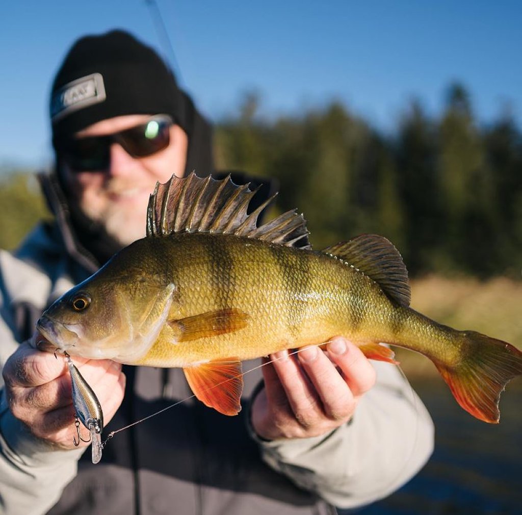 Super toffe nieuwtjes van Rapala!