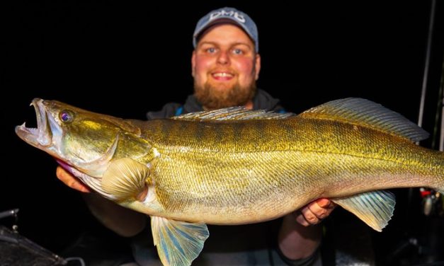 Kunstaas estafette – Top 3 kunstaas voor snoekbaars van Gregg Hofstede