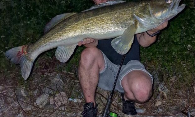 Kunstaas estafette – Top 3 kunstaas voor snoekbaars van Ramon Pradilla